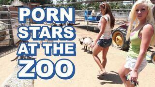 Sexy Babes erobern den Zoo und nehmen den Wärter hart ran
